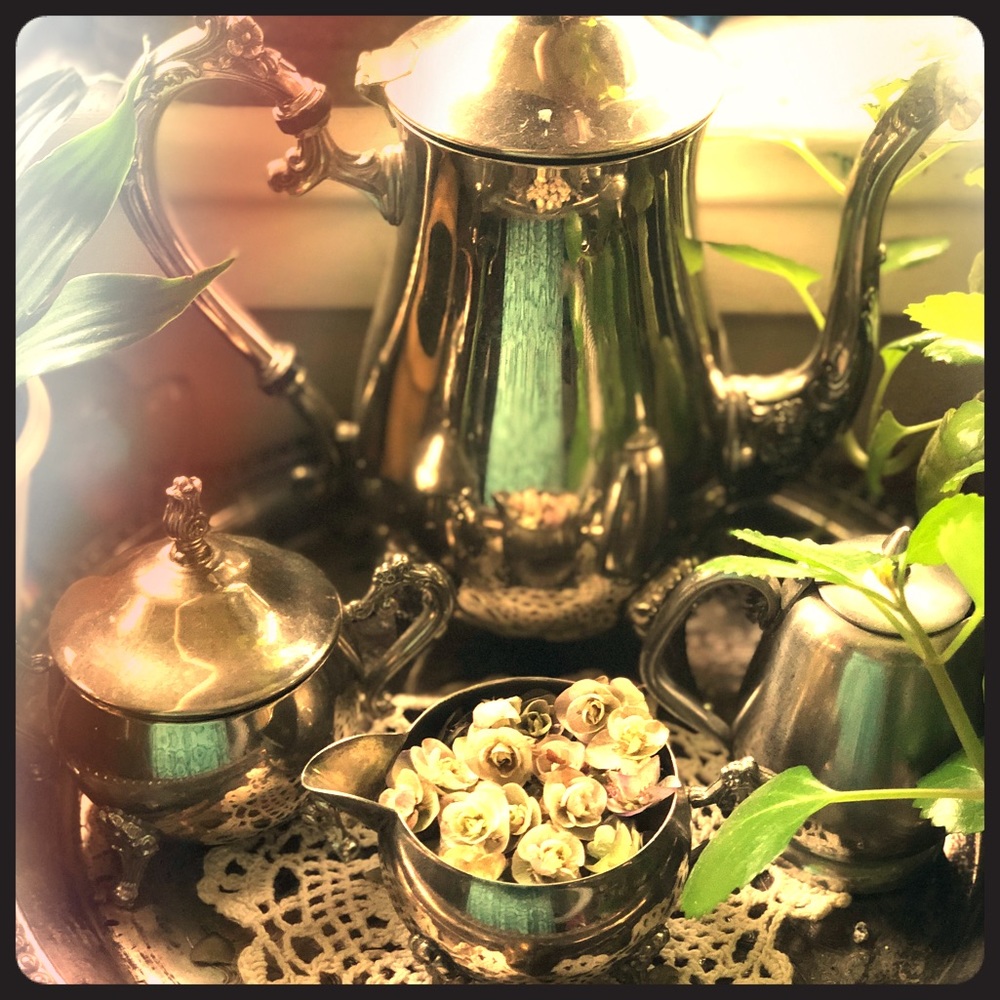 Meet your Posher, Porsha dawn